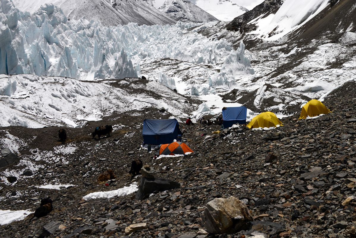 36 I Arrived At Changtse Base Camp 6035m After Trekking Three And A Half Hours From Intermediate Camp On The Way To Mount Everest North Face Advanced Base Camp In Tibet